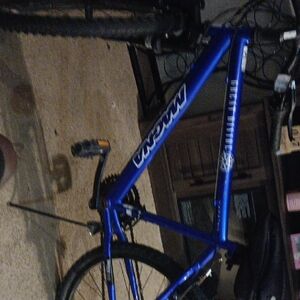 Glossy Blue Bicycle Frame for Versatile Use